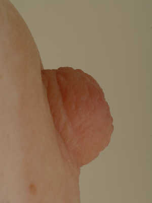 Ginger Nipples